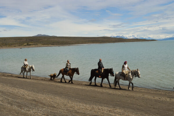 Cabalgata en Calafate - Imagen 4