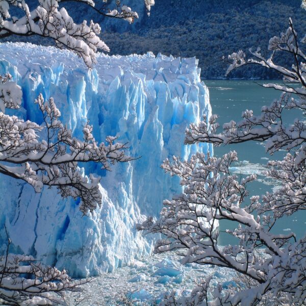 Glaciar Moreno con guia - Imagen 3