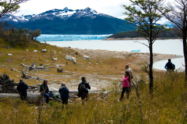 Glaciar Sur Pioneros - Imagen 5