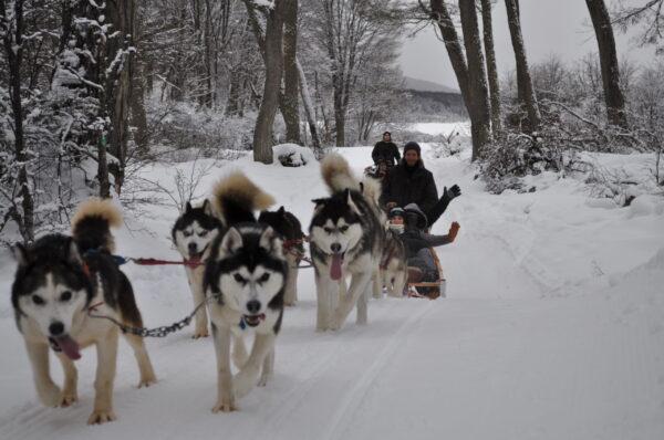 Nieve y Fuego - Imagen 4
