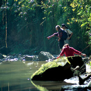 Parque Nacional Calilegua