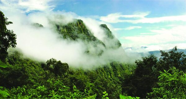 Parque Nacional Calilegua - Imagen 6