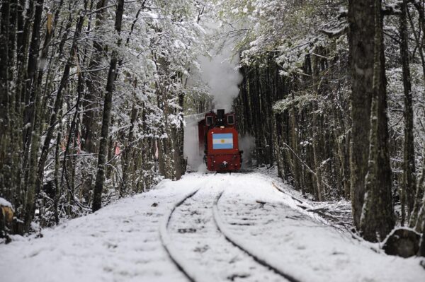 Tren del Fin del Mundo - Imagen 3
