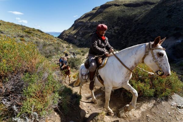 Cabalgata Experience