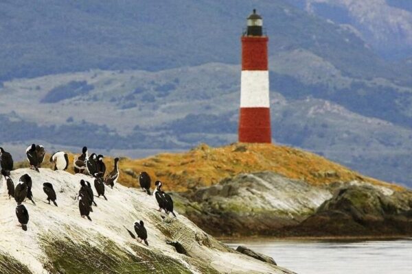 Canal Beagle e Isla de los Lobos - Imagen 3
