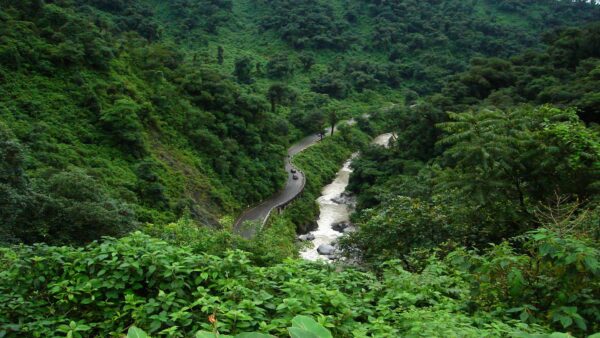 Circuito Chico - Yungas - Imagen 7