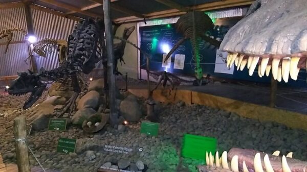 City con cuevas de Walichu - Imagen 4