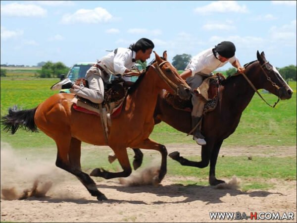 Don Silvano Fiesta Gaucha - Imagen 8