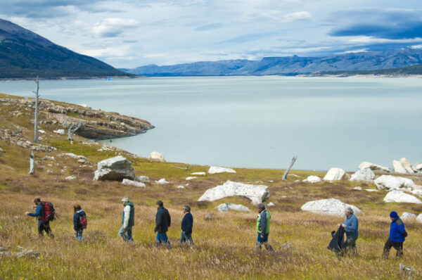 Glaciar Sur Pioneros - Imagen 7