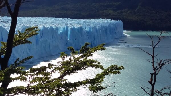 Glaciar Moreno con guia - Imagen 5