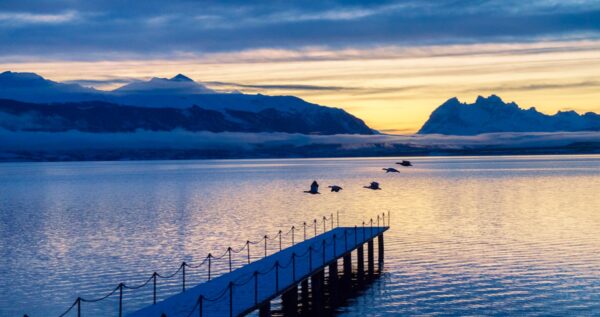 Bus Calafate/Natales vv - Imagen 3