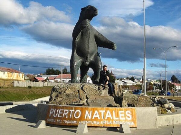 Bus Calafate/Natales vv - Imagen 4