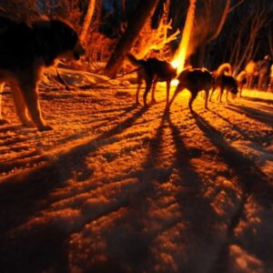 Nieve y Fuego