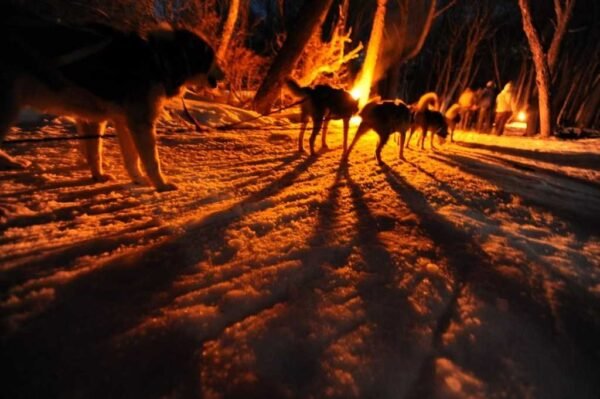 Nieve y Fuego