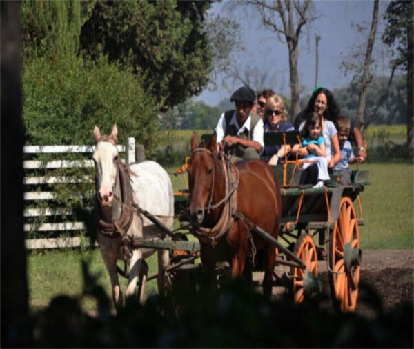 Don Silvano Fiesta Gaucha - Imagen 3