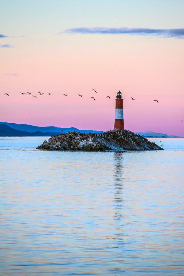 Scenic birds flying over the famous lighthouse at sunset in Ushuaia, Argentina.