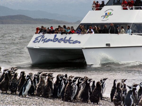 Canal Beagle Pinguinera - Imagen 5