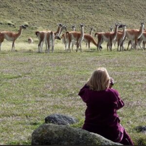 Safari Experience