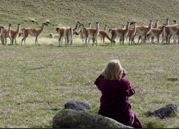 Safari Experience