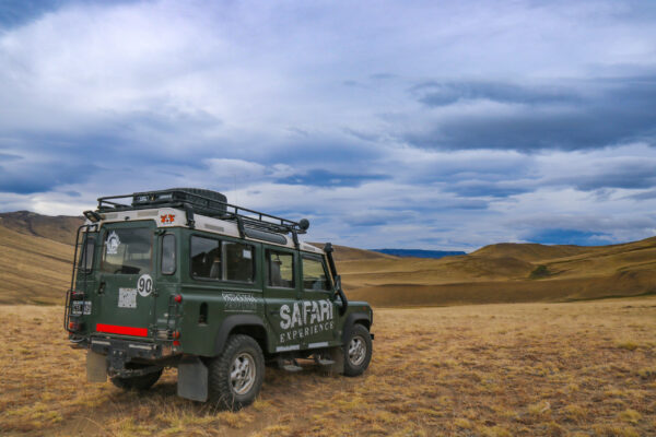 Safari Experience - Imagen 4