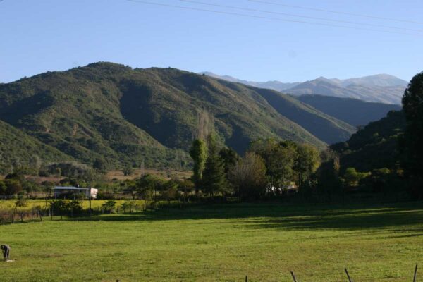 San Pedro de Colalao - Imagen 3