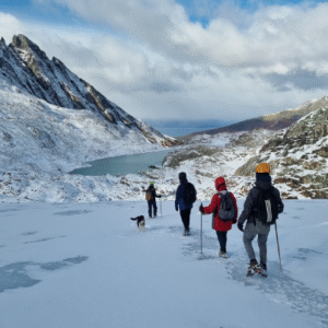 Treking Glaciar Vinciguerra