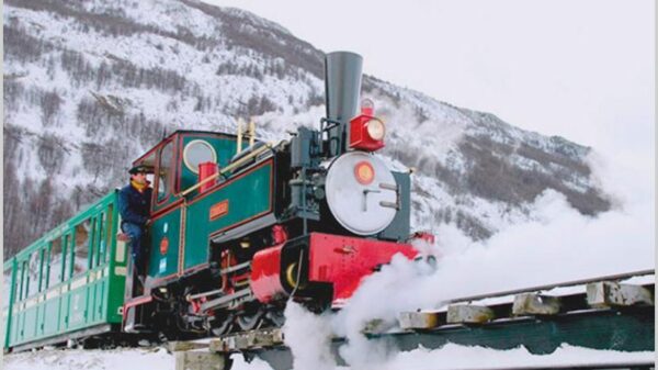 Tren del Fin del Mundo - Imagen 6